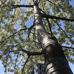 Profile Picture of Whitney Womack (@mrs.w.womack) on Instagram