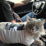 Profile Picture of Linda Larsen Hess (@lindalarsenhess) on Instagram