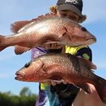 Profile Picture of Luke Neill (@lukes.fishing03) on Instagram