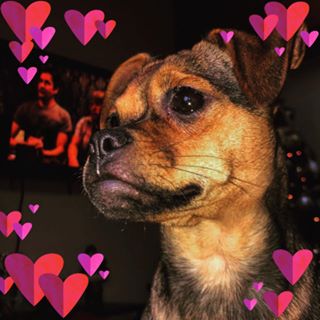 Nick Digiorgi - Facebook Profile Picture of Nick Digiorgi (@nick.digiorgi.3) on Facebook