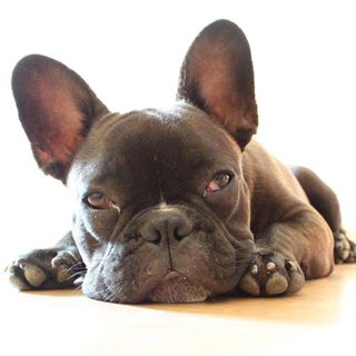 Profile Picture of Alessandro Miano (@Alessandro-Miano) on Facebook