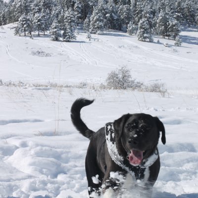 Profile Picture of Emily Stricker (@Yilem3231) on Twitter