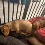 Profile Picture of Vas Kara (@VasKara16) on Facebook