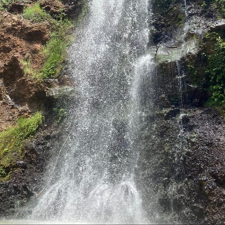 Profile Picture of George Spellman (@@georgespellman) on Tiktok