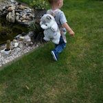 Profile Picture of Christian Stolle (@christian.stolle.96) on Instagram