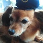 Takeo  Sato - Instagram Profile Picture of Takeo  Sato (@takeo8555) on Instagram