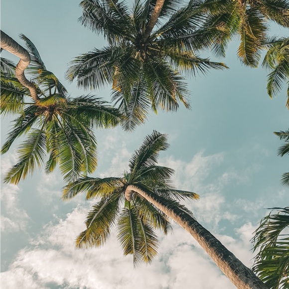 Profile Picture of Ella Weichman (@ellaweichman) on Poshmark