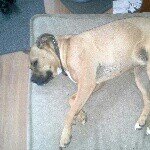 Profile Picture of knightwing (@worshamjoseph) on Instagram