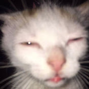 Profile Picture of Jacob Foster (@JakeisChristian7167) on Youtube