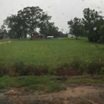 Jaida Borden - Instagram Profile Picture of Jaida Borden (@jborden.art) on Instagram