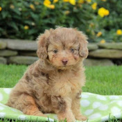 Profile Picture of Cannon Campbell (@cannoncampbell5307) on Youtube