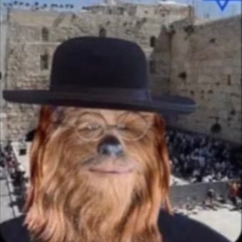 Profile Picture of Kyle Merrick (@MerrickKyle) on Twitter