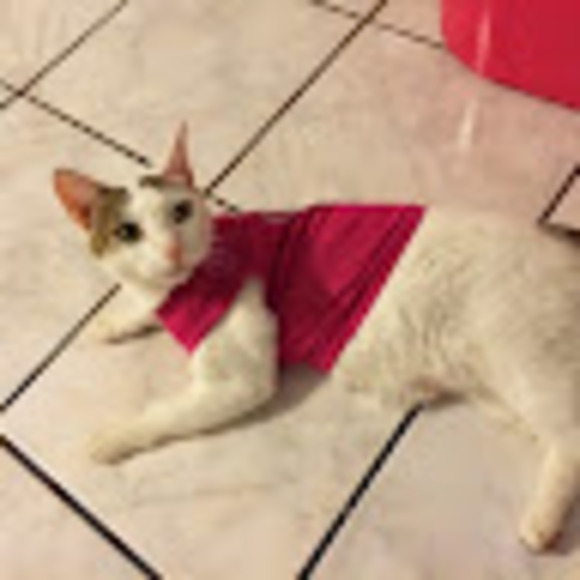 Profile Picture of Luz Green (@luzgreen) on Poshmark