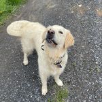 Profile Picture of Shelby Addison (@stoneyspack) on Instagram