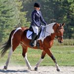 Profile Picture of Jacquelyn Arnold (@jacquelyn.eventing) on Instagram