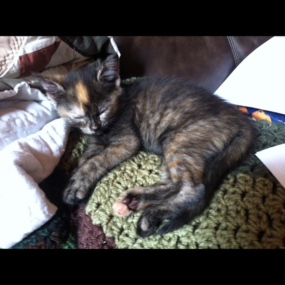 Profile Picture of Carly Wilcox (@cmwilco1) on Poshmark