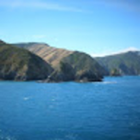 Profile Picture of Sophia Mccarthy (@soph2222) on Poshmark