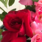 Profile Picture of Alma Hamblin (@alma.hamblin.5) on Facebook