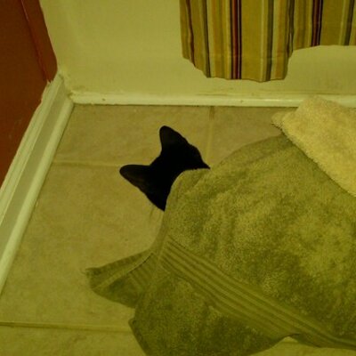 Profile Picture of Cliff Nolan (@Nolan_Team) on Twitter