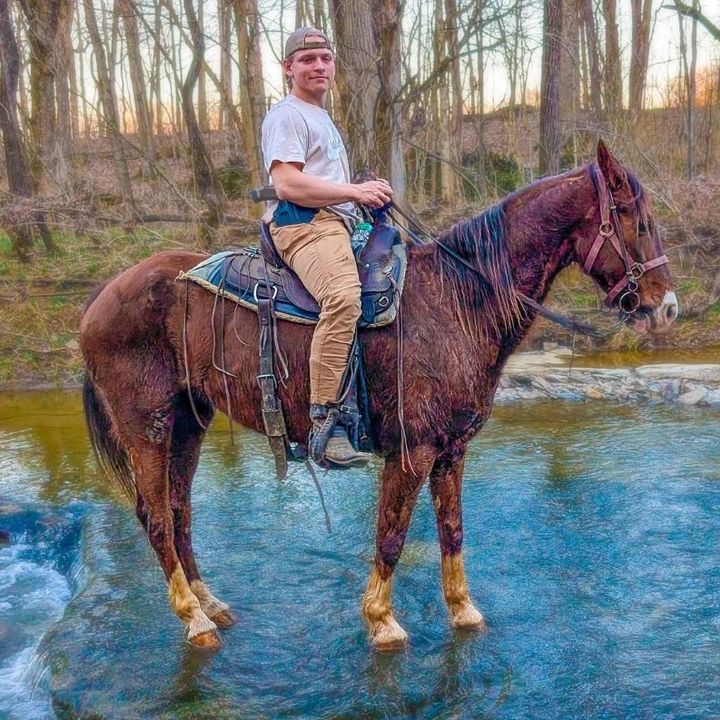 Profile Picture of Aaron Hill (@aaron.hill510) on Tiktok