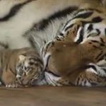 Dee Payne - Instagram Profile Picture of Dee Payne (@2deepayne) on Instagram