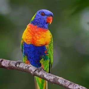 Profile Picture of Pamela Martin (@pamelamartin4) on Myspace