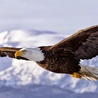 Profile Picture of Hugo Aceituno (@aceitunohugo) on Instagram