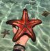 Profile Picture of Patrick Starfish (@patrick.starfish.37201901) on Facebook