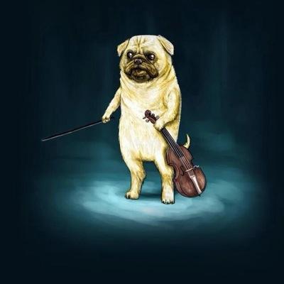 Profile Picture of Matt Oberg (@oberg_luke259) on Twitter