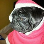 Profile Picture of Tony Firth (@firthtony) on Instagram