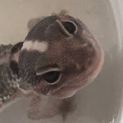 Profile Picture of Amelia Rowland (@ameliarowland6940) on Youtube