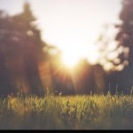 Profile Picture of Joeconners (@_.jconners) on Instagram