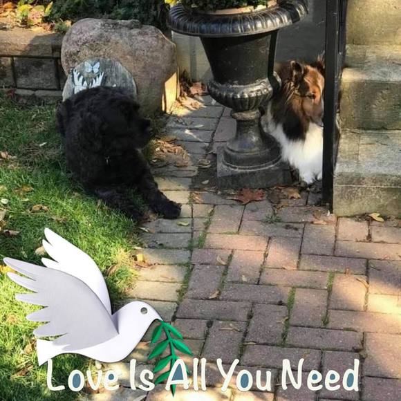 Profile Picture of June Lindsell (@junelindsell) on Poshmark