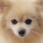 Profile Picture of Conny Clock (@Conny-Clock) on Facebook