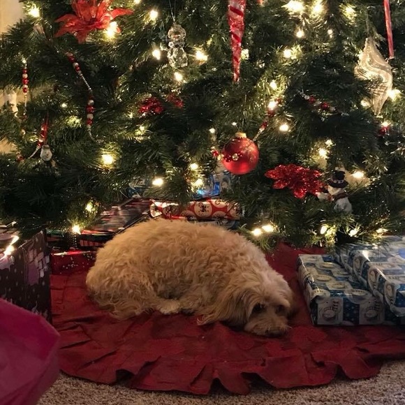 Profile Picture of Kasey Boegner (@kboegner1) on Poshmark