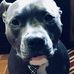 Profile Picture of James Scott Craigo (@james.craigo) on Facebook