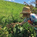 Profile Picture of Amanda Larkin (@amandasayssoo) on Instagram