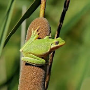 Profile Picture of Connie Bailey (@conniebailey1902) on Youtube