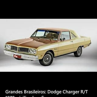 Profile Picture of aurora_favale (@adrian.holtz) on Instagram