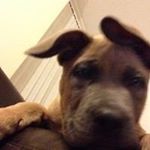 Profile Picture of Jo Drewry (@jedrewry) on Instagram