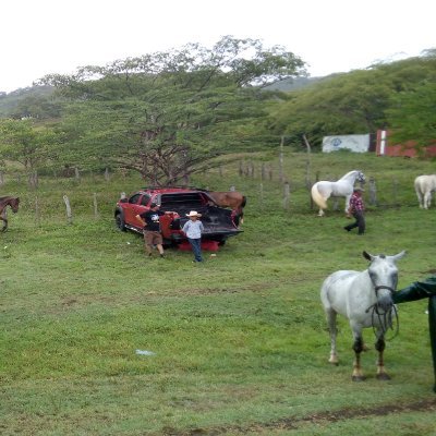 Profile Picture of Rudy Alexander Sinclair Cayasso (@RudyCayasso) on Twitter