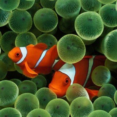 Profile Picture of Jonathan Hooker (@jonathan_hooker) on Twitter