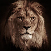 Profile Picture of Nick Corrado (@nickcorrado8289) on Youtube