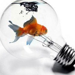 Profile Picture of Luz Ross (@LuzzRoss) on Twitter