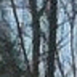 Profile Picture of David Burgess (@d-j-burgess) on Flickr