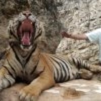 Profile Picture of Mangesh Hirve (@mangesh-hirve-1) on Quora