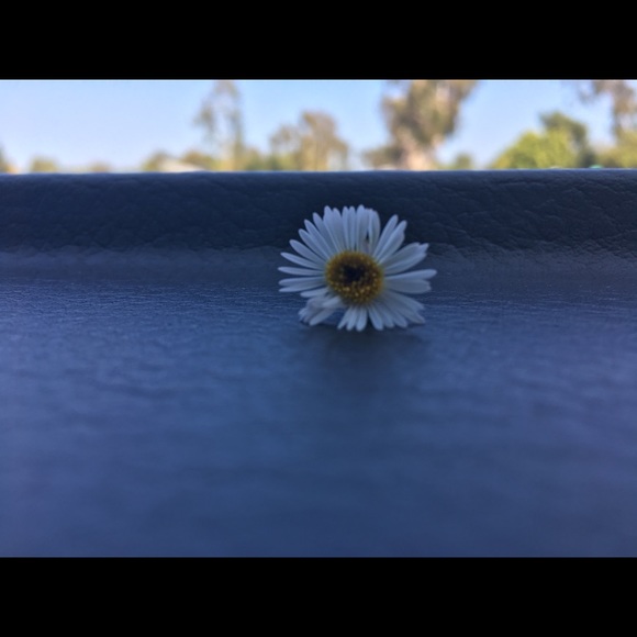 Profile Picture of Jonathan Velasco (@lilgangjonny711) on Poshmark