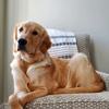 Profile Picture of Curtis Flack (@@flackflackflack) on Tiktok