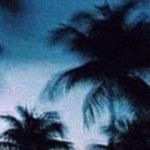 Profile Picture of Gregory Scott (@grxgoryscott) on Instagram