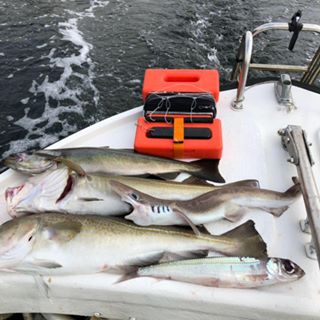 Profile Picture of Sigbjørn Endresen (@autosett.as) on Facebook